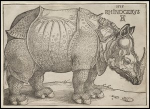 Le Rhinocéros, 1515 - Albrecht Dürer