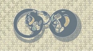 Résumé : Feline Infinity