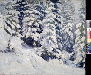 Forêt en hiver