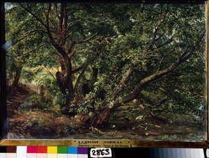 Les arbres de la rivière - Aleksandr Andreevich Ivanov