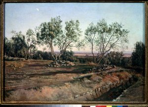 Oliviers près du cimetière d