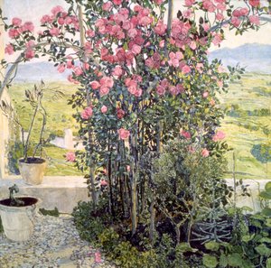 La Vallée en Ombrie, années 1910 - Aleksandr Jakovlevic Golovin