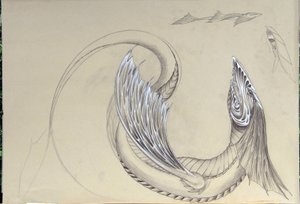 Créature fantastique : dragon de mer. - Alessandro Lonati