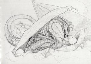 Créature fantastique : un dragon protégeant son œuf.