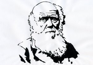 Portrait de Charles Darwin - Portrait du naturaliste anglais Charles Darwin (1809-1882). - Alessandro Lonati