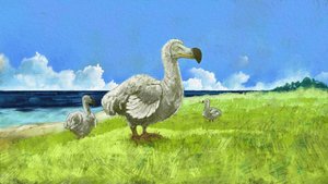 Représentation du dodo éteint (illustration) - Alessandro Lonati