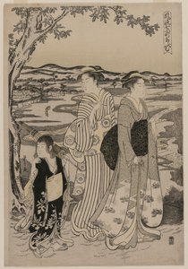 Omu le perroquet (de la série Sept épisodes élégants de la vie de la poétesse Ono no Komachi)