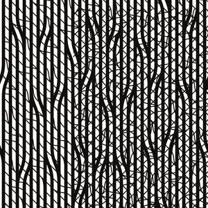 #25, 2017 - Alex Caminker