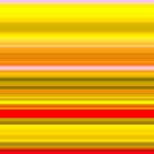 №38, 2017 - Alex Caminker