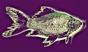 Poisson - Alex Caminker