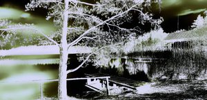 Jardin secret - Alex Caminker