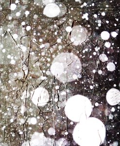 Neige - Alex Caminker