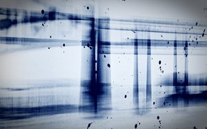 Neige (radiographie), 2019