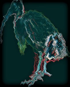 Oiseau II, 2020