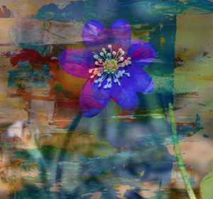 Note bleue II, 2019