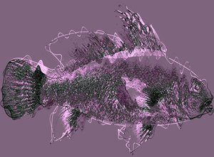 Poisson III, 2020