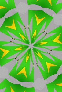 fleurs #115 - Alex Caminker