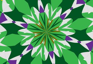fleurs #25 - Alex Caminker