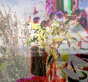 nature morte, 2019