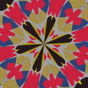 symétrie #16 - Alex Caminker