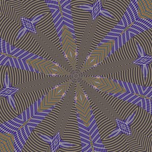 symétrie #38 - Alex Caminker