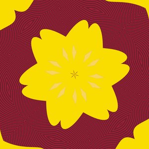 symétrie #50 - Alex Caminker