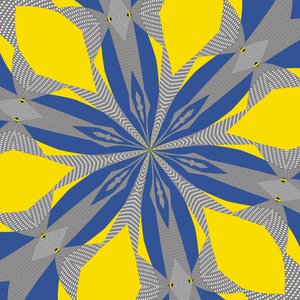 symétrie #8 - Alex Caminker