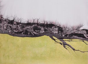 Champ aurifère - Alex Walsh