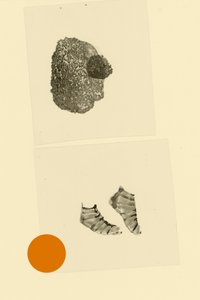 Tête-pied - Alexander Adiels