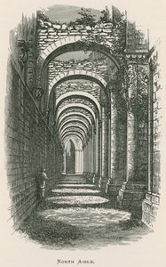 Abbaye de Fountains, nef nord - Alexander Francis Lydon