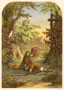 Robinson Crusoé réveillé par son perroquet - Alexander Francis Lydon