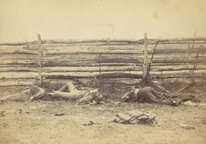 Vue dans le champ, du côté ouest de la route de Hagerstown, après la bataille d