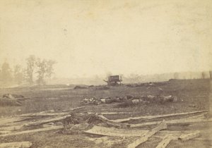 Vue sur le champ de bataille d