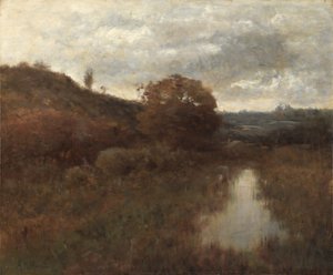Paysage et piscine d