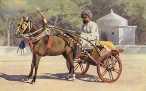 Un Ekka de Bénarès - Alexander Henry Hallam Murray