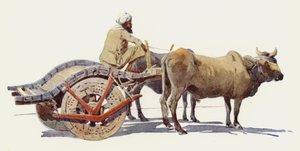Une Charrette à Bœufs, Jodhpur