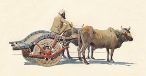 Un chariot à bœufs, Jodhpur, vers 1880 1905 - Alexander Henry Hallam Murray
