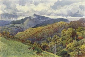 Les Montagnes depuis Pallekelly - Alexander Henry Hallam Murray