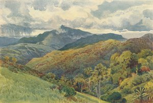 Les montagnes de Pallekelly, c1880 - Alexander Henry Hallam Murray