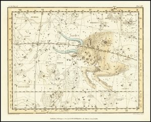 1822 - Alexander Jamieson - Taureau - Alexander Jamieson