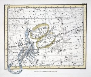 Les constellations (Planche XIX) Balance et Scorpion, de 