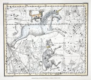 Les constellations (Planche XXV) Canis Major, Canis Minor, Monoceros, Argo Navis, l