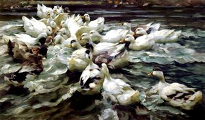 Rassemblement de canards