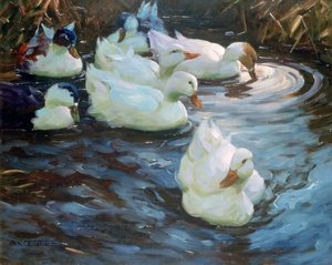 Canards sur un étang, vers 1884-1932