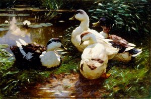 Canards sur une rive
