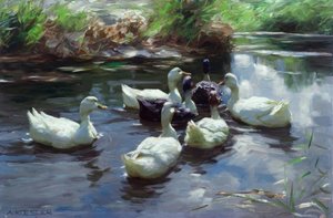 Canards à l