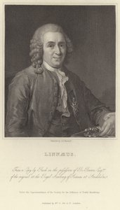 Linné - Alexander Roslin