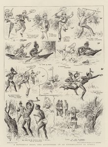 Chasse aux papillons, les aventures d