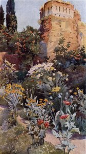 Dans les jardins de l