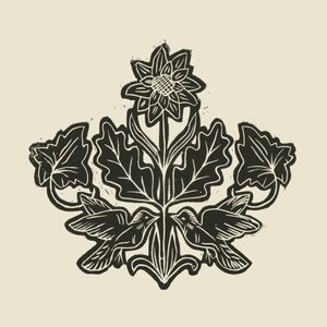 Oiseaux floraux élégants - Alexandra Weise